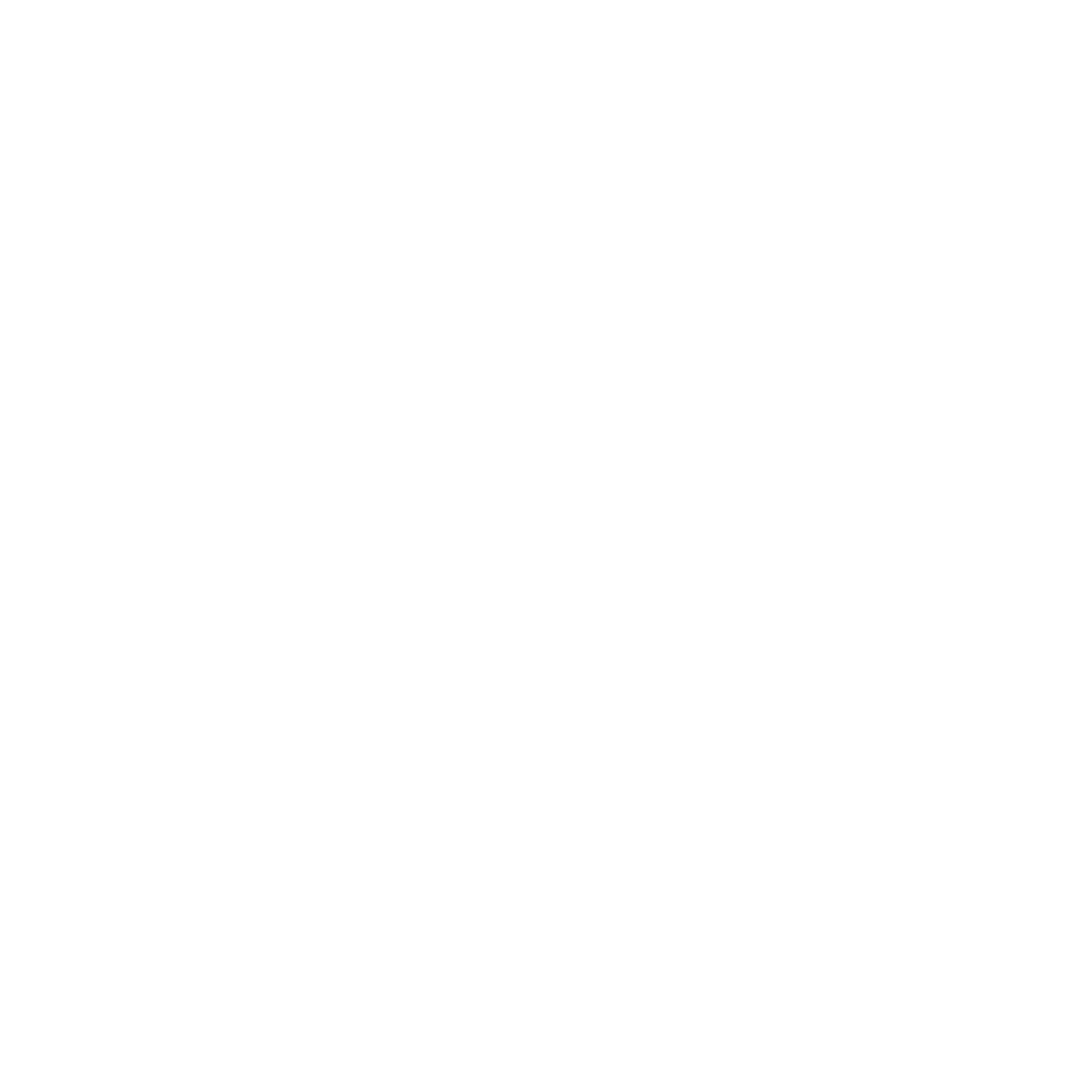 big logo